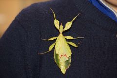 IMG_1213.jpg
