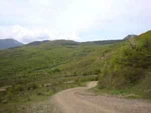 post-4-0-80044800-1398598783_thumb.jpg