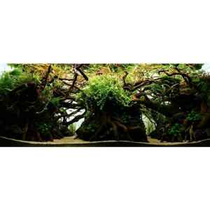 20634602_122300365069020_3529124595049168896_n.jpg