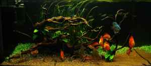 akvarium.jpg