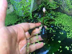 E13F326F-C839-47AE-BC0D-2F0E75747032.jpeg