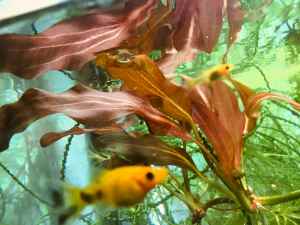 BD04B17F-525D-4BC4-B4A6-6E4CC50FA657.jpeg
