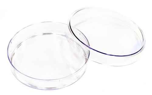 chashka-petri-100x20mm-plastikovaya-s-kryshkoj.jpg